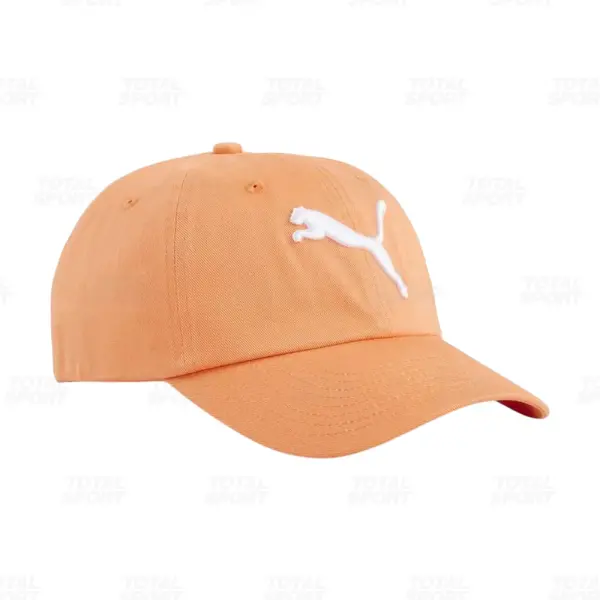 Gorro Varon Puma Logo Bb (024587-16)
