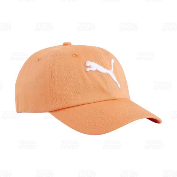 Gorro Varon Puma Logo Bb (024587-16)
