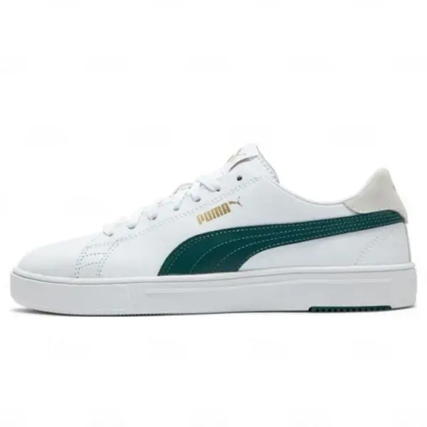 Puma Varon Flexfocus Lite Modern (374902-29) PROMO DIA DEL PADRE JUNIO