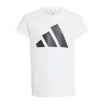 Polo Niños Adidas Essentials Big Logo (JC9627)