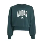 Polera Niños Adidas Seasonals Essentials Collegiate Typography (JV7377) (( CMMT ))