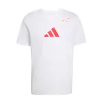 Polo Varon Adidas Padel Graphic (KE9639)