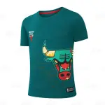 Polo Niños Chicago Bulls NBA (NBATS324102-TQ1) (( CMMT ))