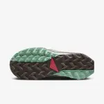 Nike Wildhorse 8 - DR2689-301