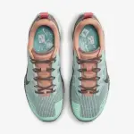 Nike Wildhorse 8 - DR2689-301