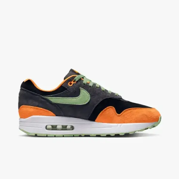 Nike Air Max 1 PRM DZ0482-001
