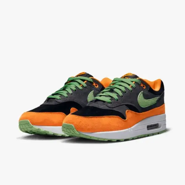 Nike Air Max 1 PRM DZ0482-001