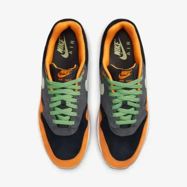 Nike Air Max 1 PRM DZ0482-001