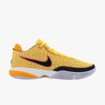 lebron xx - dj5423-801
