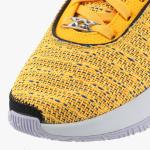 lebron xx - dj5423-801