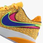 lebron xx - dj5423-801